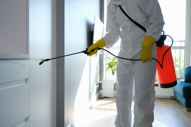 Best Fast Mold Removal  in Moundridge, KS