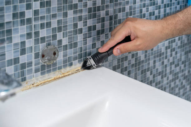 Best Mold Removal Company Near Me  in Moundridge, KS