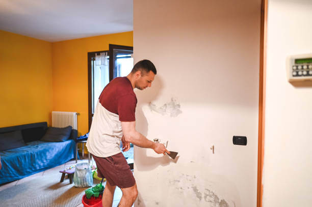 Best Crawl Space Mold Removal  in Moundridge, KS