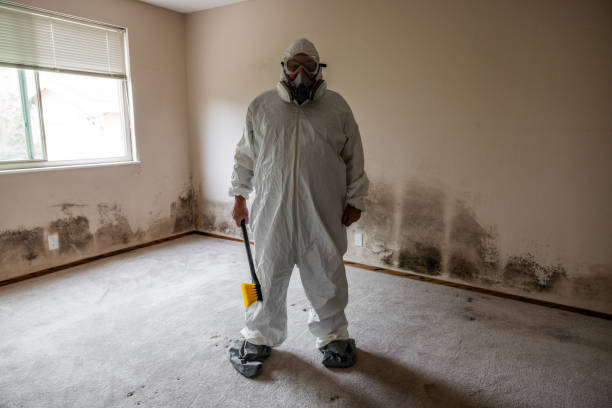 Reliable Moundridge, KS Mold Removal Solutions